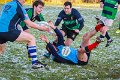Monaghan Legends V Perennials (14)